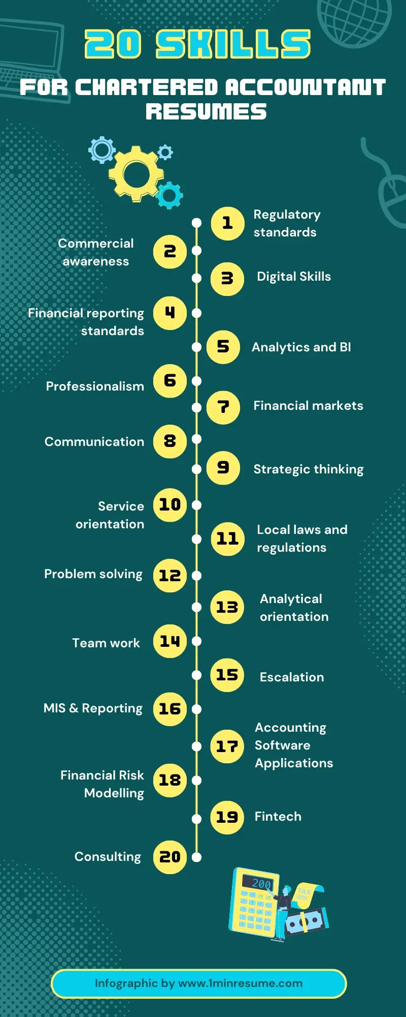 20 skills for Chartered Accountant Resumes (with examples)